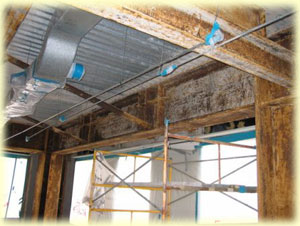 Asbestos Abatement services from Texas Environmental Control