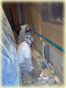 Mold Remediation services from Texas Environmental Control