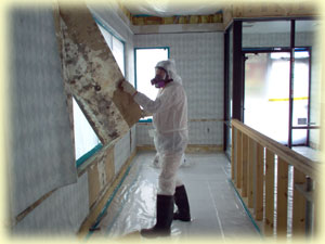 Mold Remediation services from Texas Environmental Control