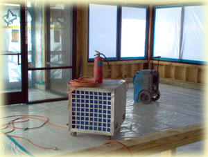 Mold Remediation services from Texas Environmental Control