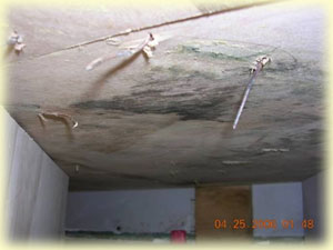 Mold Remediation services from Texas Environmental Control